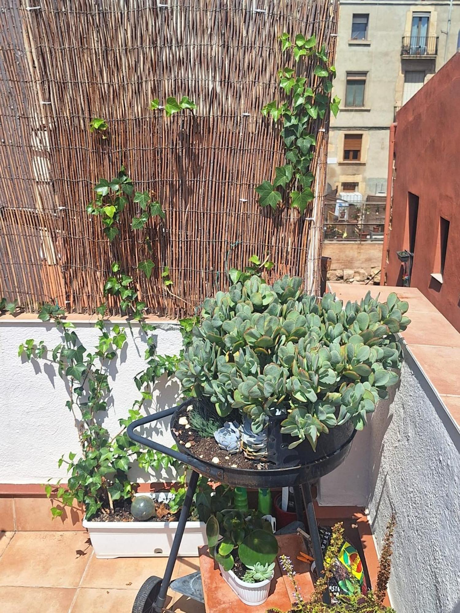El Terrat De La Tecla - Duplex Casc Antic Apartment Tarragona Exterior photo